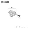 IMPLANT GRADE TITANIUM THREADLESS (PUSH IN) CZ HEART LABRET SET